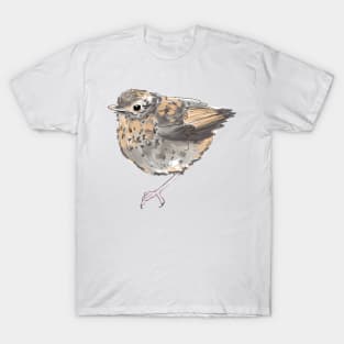 Robin T-Shirt